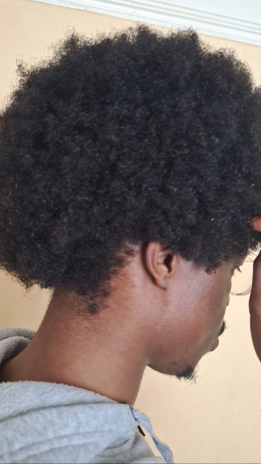 Person with natural hair styled in an afro, wearing a gray hoodie.